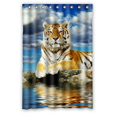 Tiger Funny Doormat Noble Beast Crouching on a Rock Sumatrian Large Cat Beautiful Nature Photography Area Rugs Multicolor 24 x 72 Tiger Funny Doormat Noble Beast Crouching on a Rock Sumatrian Large Cat Beautiful Nature Photography Area Rugs Multicolor 24 x 72